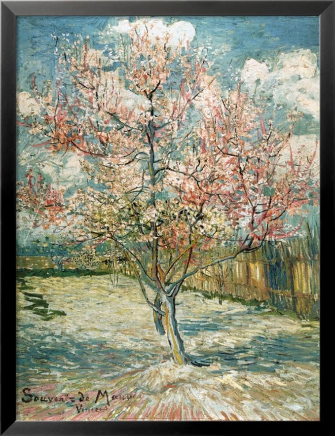 Peach Tree in Bloom at Arles - Vincent Van Gogh Paintings